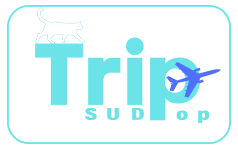 ทริปสุดป๊อบ