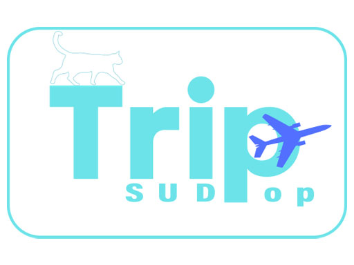 เกี่ยวกับเรา