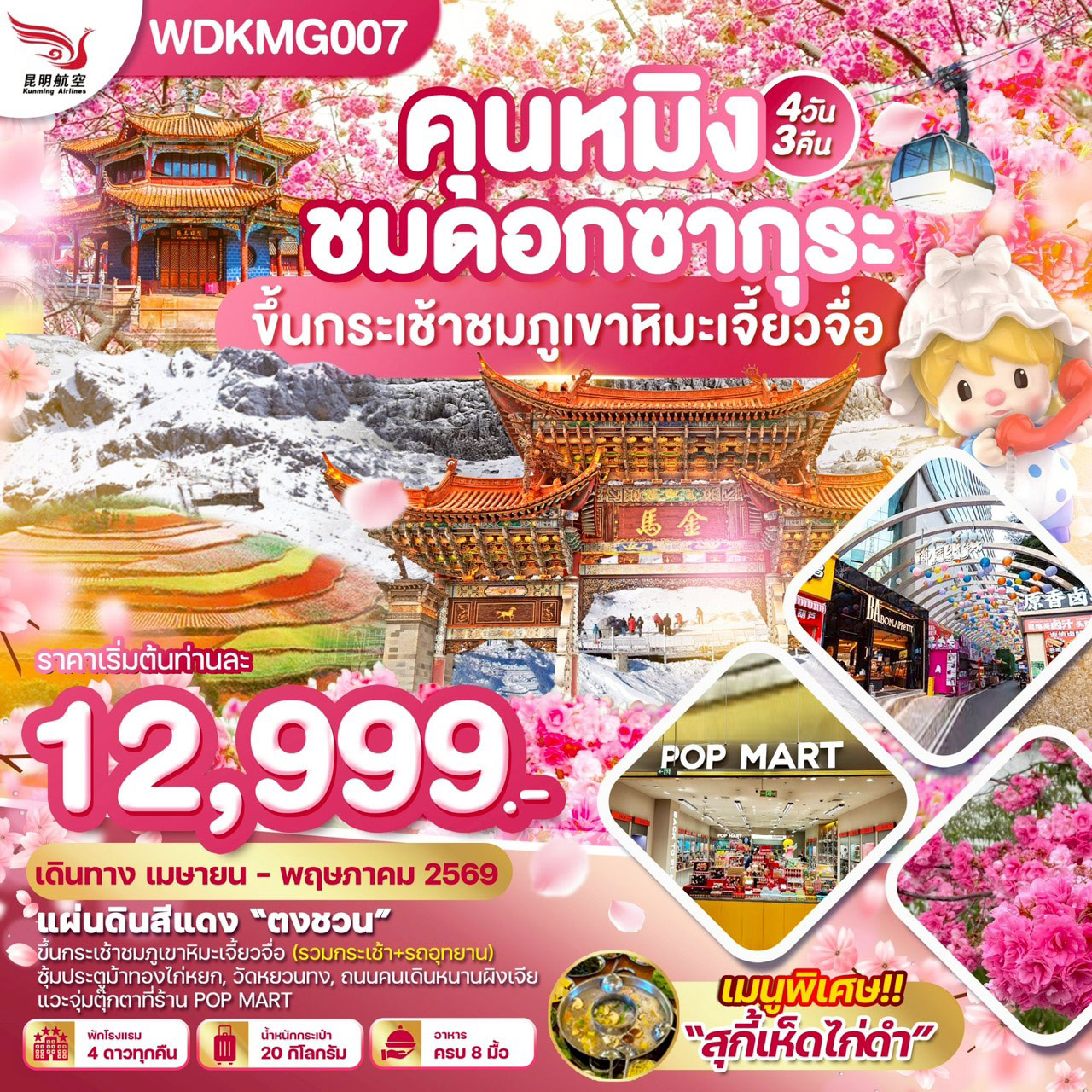 ทัวร์จีน คุนหมิง ”ชมดอกซากุระบาน“ภูเขาหิมะเจี้ยวจื่อ แผ่นดินสีแดง 4วัน 3คืน ( KY)